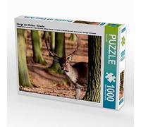 CALVENDO Puzzle Rois de la forêt - Cerfs 1000 Pieces 64 x 48 cm from Arno Klatt