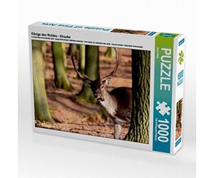CALVENDO Puzzle Rois de la forêt - Cerfs 1000 Pieces 64 x 48 cm from Arno Klatt