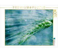 CALVENDO Puzzle Romantischer Weizen | 1000 Teile Lege-Größe 64x48cm Foto-Puzzle