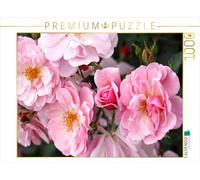 CALVENDO Puzzle Rosa Märchenland 1000 Teile Puzzle quer 1000 Pieces 64 x 48 cm from Gisela Kruse
