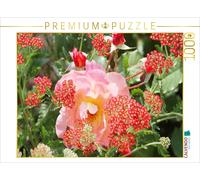CALVENDO Puzzle Rosa Rose mit roter Schafgarbe | 1000 Teile Lege-Größe 64x48cm F