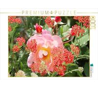 CALVENDO Puzzle Rosa Rose mit roter Schafgarbe 1000 Teile Puzzle quer 1000 Pieces 64 x 48 cm from Gisela Kruse