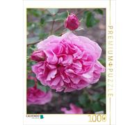 CALVENDO Puzzle Rose Château de Warwick 1000 Pieces 48 x 64 cm from Gisela Kruse