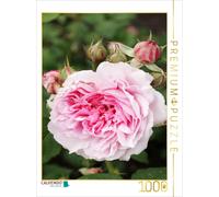 CALVENDO Puzzle Rose Femme de Bain 1000 Pieces 48 x 64 cm from Gisela Kruse