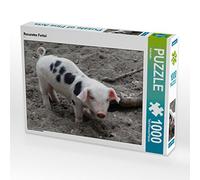 CALVENDO Puzzle Rosarotes Ferkel 1000 Teile Puzzle quer 1000 Pieces 64 x 48 cm from Kattobello