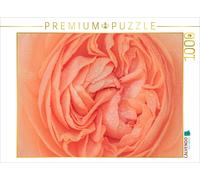 CALVENDO Puzzle Rose blossom in the morning dew | 1000 pieces, finished size 25.