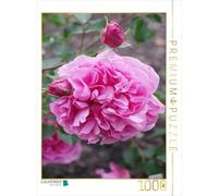 CALVENDO Puzzle Rose Château de Warwick 1000 Pieces 48 x 64 cm from Gisela Kruse
