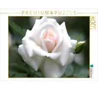 CALVENDO Puzzle Rose 'Greeting to Aachen' | 1000 pieces, finished size 25.2 × 18