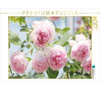 CALVENDO Puzzle Rose 'Jasmina 1000 Pieces 64 x 48 cm from Gisela Kruse