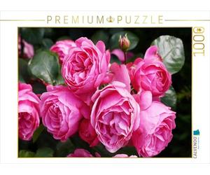 CALVENDO Puzzle Rose Leonardo da Vinci in sattem Pink 1000 Teile Puzzle quer 1000 Pieces 64 x 48 cm from Gisela Kruse