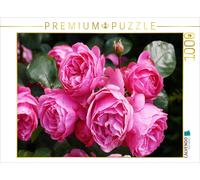 CALVENDO Puzzle Rose Leonardo da Vinci in sattem Pink 1000 Teile Puzzle quer 1000 Pieces 64 x 48 cm from Gisela Kruse