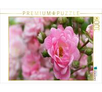 CALVENDO Puzzle Rose - Reine des Fleurs 1000 Pieces 64 x 48 cm from Martina Cross