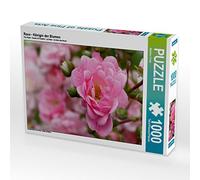 CALVENDO Puzzle Rose - Reine des Fleurs 1000 Pieces 64 x 48 cm from Martina Cross