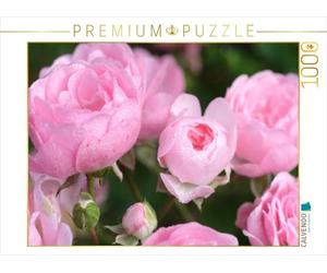 CALVENDO Puzzle Rose « The Fairy » | 1000 pièces - Taille de la Pose 64 x 48 cm - Puzzle Photo pour des Heures heureuses
