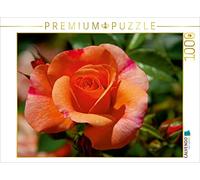 CALVENDO Puzzle ROSENTRÄUME 1000 Pieces 64 x 48 cm from GUGIGEI