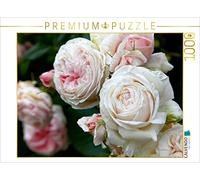 CALVENDO Puzzle Roses dans Le Jardin 1000 Pieces 64 x 48 cm from Martina Cross