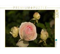 CALVENDO Puzzle Roses Magiques 1000 Pieces 64 x 48 cm from Andrea Potratz.