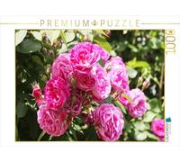 CALVENDO Puzzle Rosier grimpant Rose 1000 Pieces 64 x 48 cm from Gisela Kruse