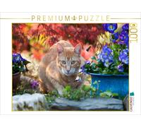 CALVENDO Puzzle Rot-getigerte Katze in Einer bunten Gartenidylle 1000 Teile Puzzle quer 1000 Pieces 64 x 48 cm from Katho Menden