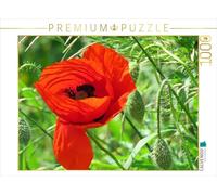 CALVENDO Puzzle Roter Mohn 1000 Teile Puzzle quer 1000 Pieces 64 x 48 cm from Sabine Löwer