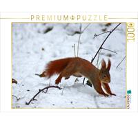 CALVENDO Puzzle Rotes Eichhörnchen im Schnee | 1000 Teile Lege-Größe 64x48cm Fot