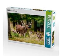 CALVENDO Puzzle Rothirsch in der Brunft 1000 Teile Puzzle quer 1000 Pieces 64 x 48 cm from Roland Brack