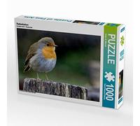 CALVENDO Puzzle Rotkehlchen 1000 Teile Puzzle quer 1000 Pieces 64 x 48 cm from Dieter Wilczek