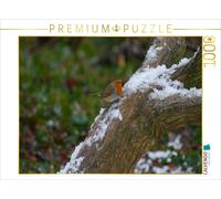 CALVENDO Puzzle Rotkehlchen im Winter | 1000 Teile Lege-Größe 64x48cm Foto-Puzzl