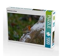 CALVENDO Puzzle Rotkehlchen im Winter 1000 Teile Puzzle quer 1000 Pieces 64 x 48 cm from Kattobello