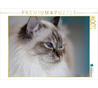 CALVENDO Puzzle Sacred Birman cat, seal tabby point | 1000 pieces, finished size