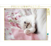 CALVENDO Puzzle Sacred Birman Kitten, chocolate tabby point | 1000 pieces, finis