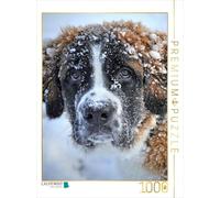 CALVENDO Puzzle Saint Bernard 1000 Pieces 48 x 64 cm from Peter Roder