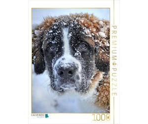 CALVENDO Puzzle Saint Bernard 1000 Pieces 48 x 64 cm from Peter Roder