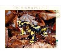 CALVENDO Puzzle Salamandre de feu 1000 Pieces 64 x 48 cm from Benny Trapp