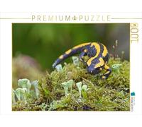 CALVENDO Puzzle Salamandre de feu 1000 Pieces 64 x 48 cm from GUGIGEI