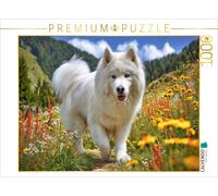 Puzzle · Samoyède dans la Prairie de Montagne | Magnifique excursion dans la nature · 1000 pièces · Format assemblé 64 × 48 cm · CALVENDO Puzzle