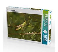 CALVENDO Puzzle Sauterelle 1000 Pieces 64 x 48 cm from Kevin Lederle