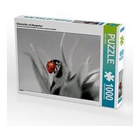 CALVENDO Puzzle Scarabée Chanceux avec la rosée du Matin 1000 Pieces 64 x 48 cm from Heike Hultsch
