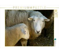 CALVENDO Puzzle Schaf mit Lamm 1000 Teile Puzzle quer 1000 Pieces 64 x 48 cm from Kattobello