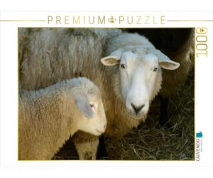CALVENDO Puzzle Schaf mit Lamm 1000 Teile Puzzle quer 1000 Pieces 64 x 48 cm from Kattobello