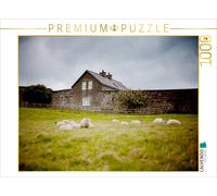 CALVENDO Puzzle Schafe bei Castlerock / Nordirland 1000 Teile Puzzle quer | 1000