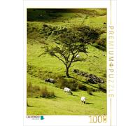 CALVENDO Puzzle Schafweide 1000 Teile Puzzle hoch | 1000 pieces, finished size 2