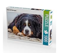 CALVENDO Puzzle Schau Mir in Die Augen... 1000 Teile Puzzle quer 1000 Pieces 64 x 48 cm from Annett Mirsberger