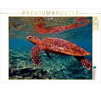 CALVENDO Puzzle Schildkröte, Bathala, Malediven 1000 Teile Puzzle quer | 1000 pi