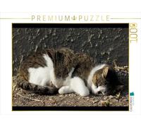 CALVENDO Puzzle Schlafende Hauskatze 1000 Teile Puzzle quer 1000 Pieces 64 x 48 cm from Kattobello