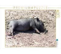 CALVENDO Puzzle Schlafende Mikroschwein Ferkel 1000 Teile Puzzle quer 1000 Pieces 64 x 48 cm from Kattobello