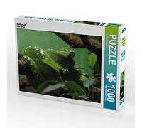 CALVENDO Puzzle Schlange 1000 Teile Puzzle quer 1000 Pieces 64 x 48 cm from Conny Krakowski