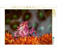 CALVENDO Puzzle Veil Tree Spider Crab | 1000 pieces, finished size 25.2 × 18.9 i