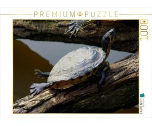 CALVENDO Puzzle Schmuckschildkröte beim Sonnen 1000 Teile Puzzle quer 1000 Pieces 64 x 48 cm from Kattobello