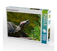 CALVENDO Puzzle Schmuckschildkröten Portrait 1000 Teile Puzzle quer 1000 Pieces 64 x 48 cm from Kattobello